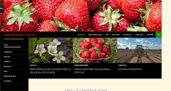 Desktop Screenshot of lang.fi