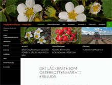 Tablet Screenshot of lang.fi